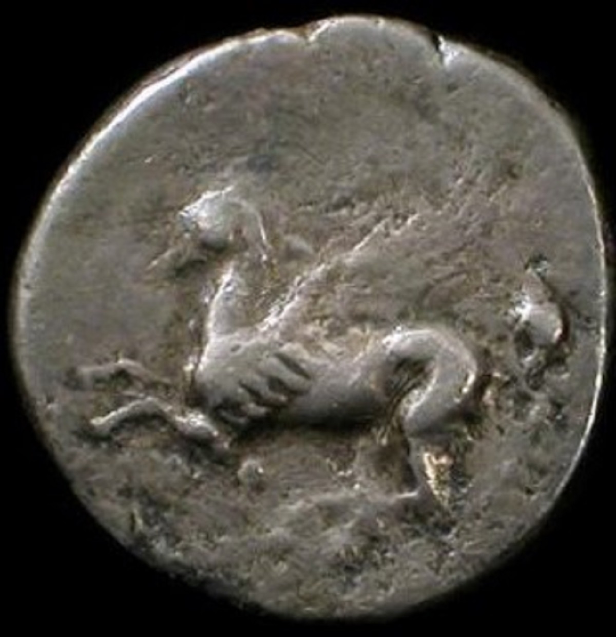 Two-Ancient-Greek-Staters-Of-Akarnania